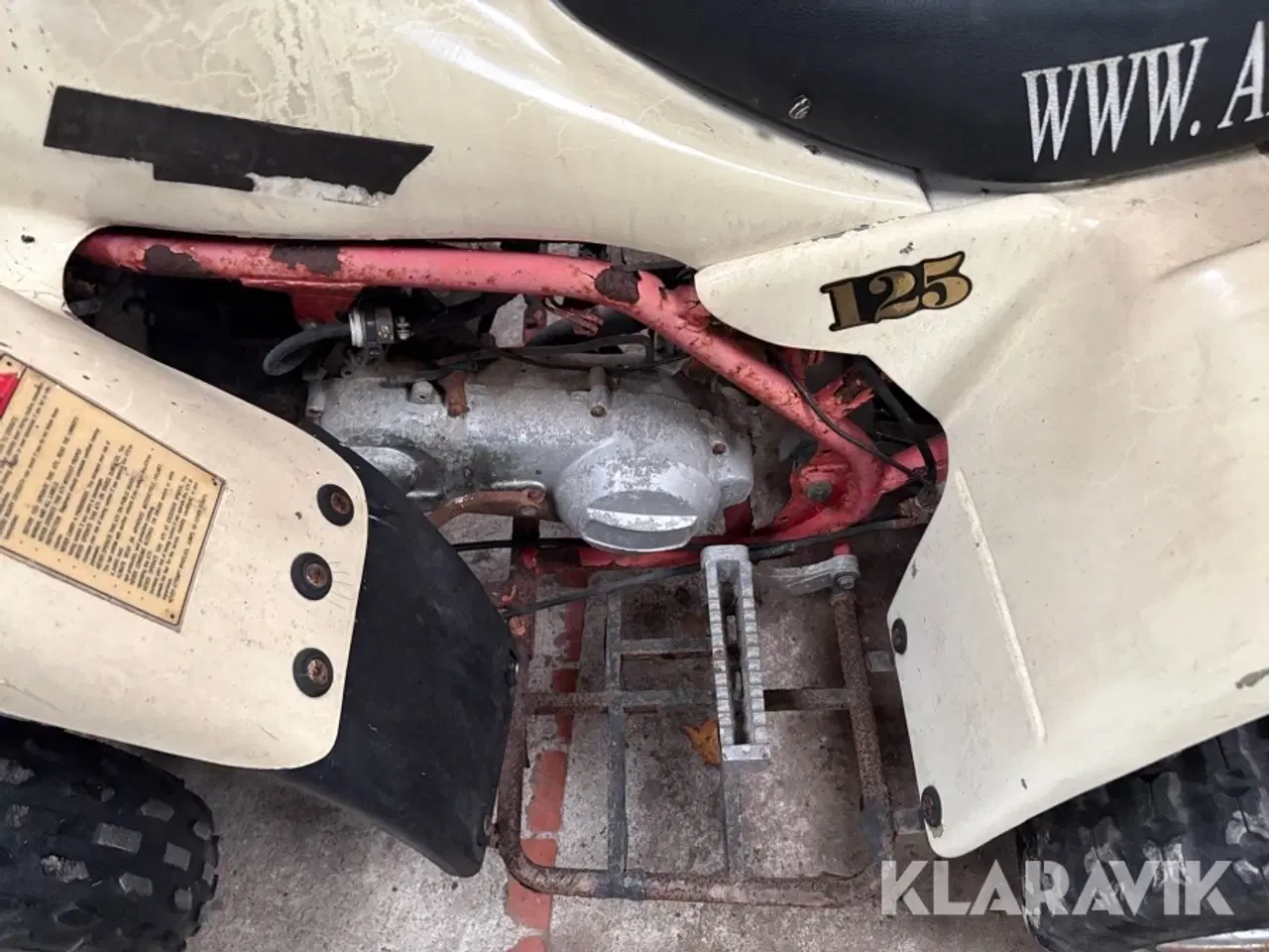 Billede 8 - Atv Blueberry