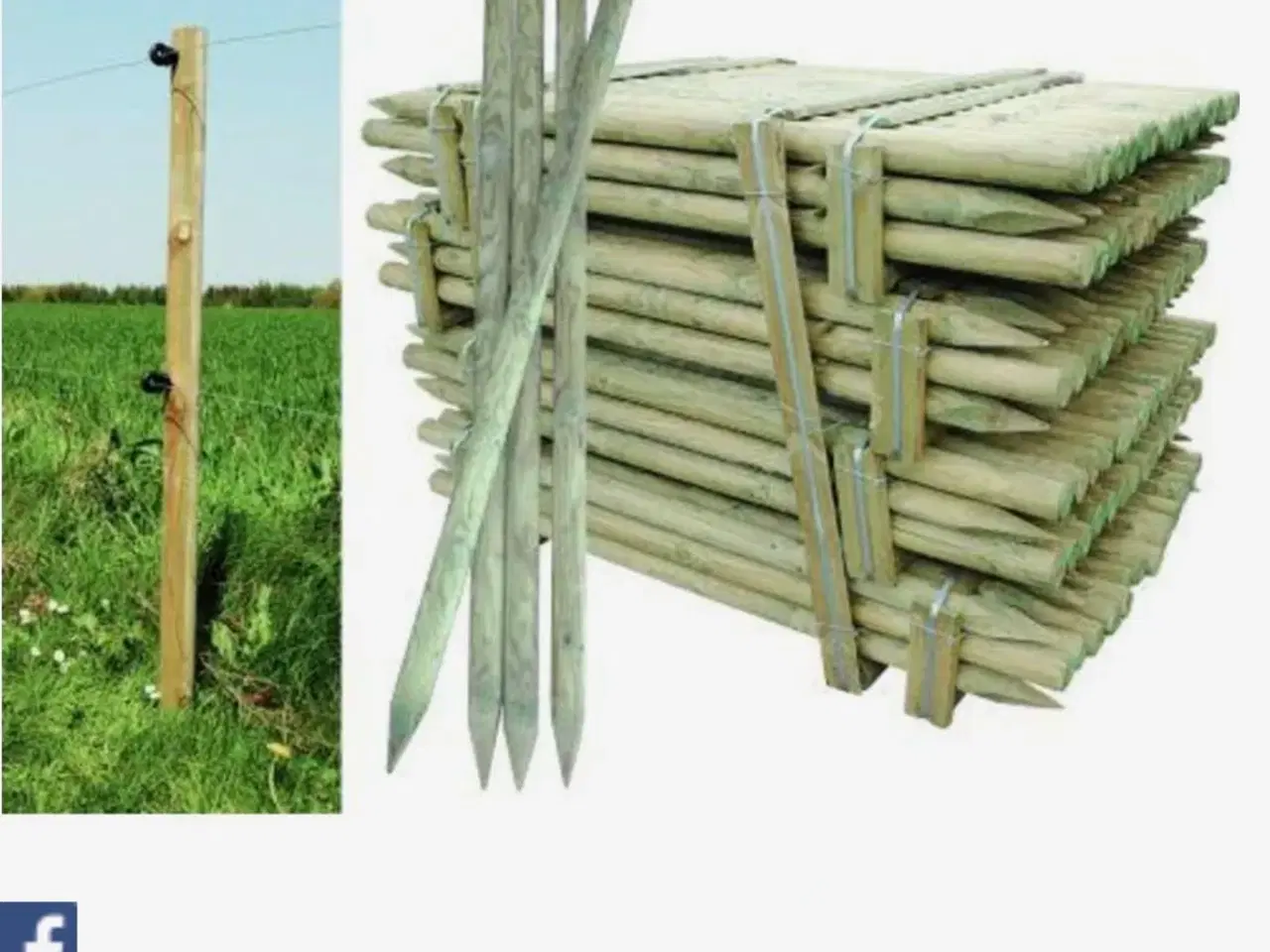 Billede 1 - Hegnspæle 
