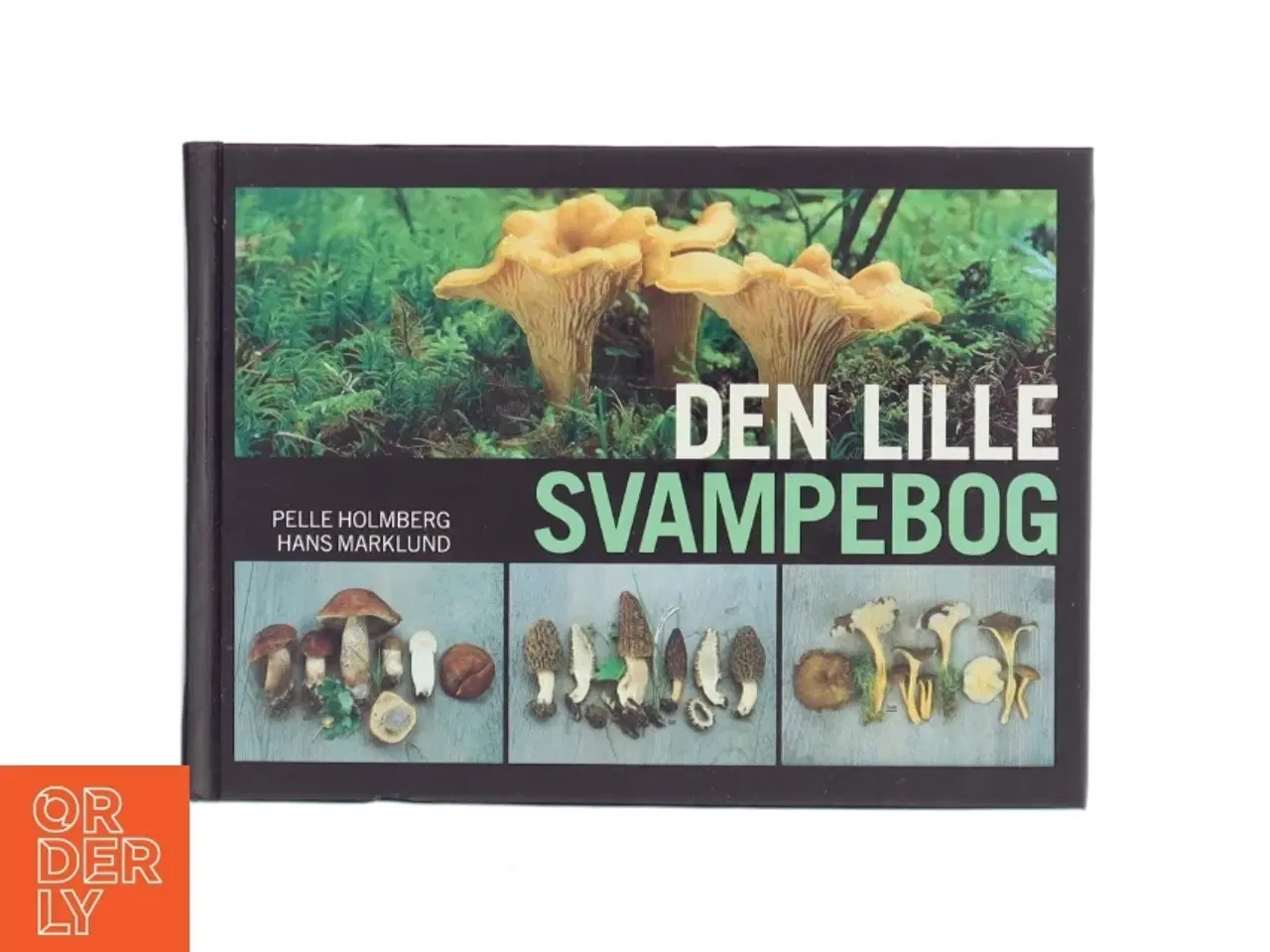Billede 1 - Den lille svampebog af Pelle Holmberg (Bog)