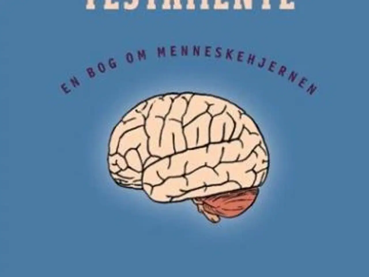 Billede 1 - Dr. Zukaroffs testamente af Peter Lund Madsen