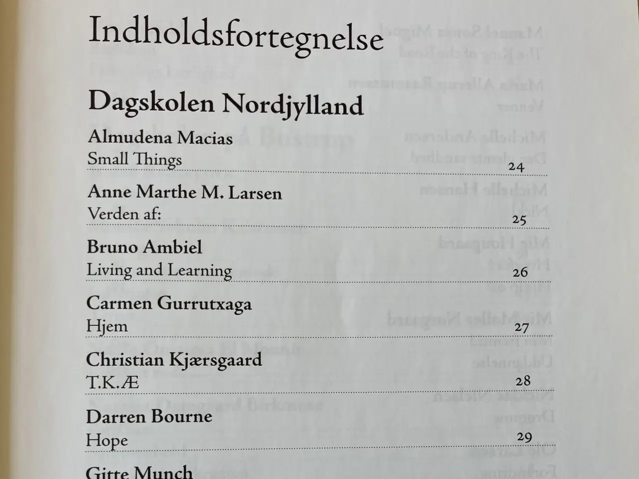 Billede 3 - Poesi - forår. Årgang 2009