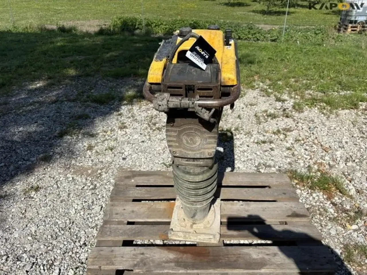 Billede 2 - Wacker Neuson Jordloppe