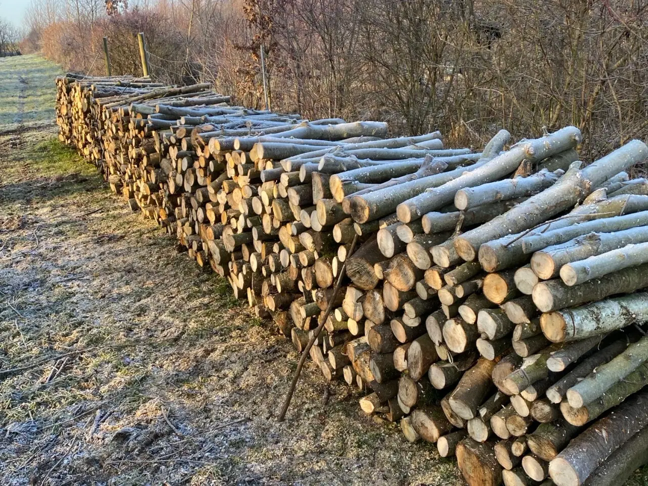Billede 1 - Prima løvtræsbrænde i meterstykker