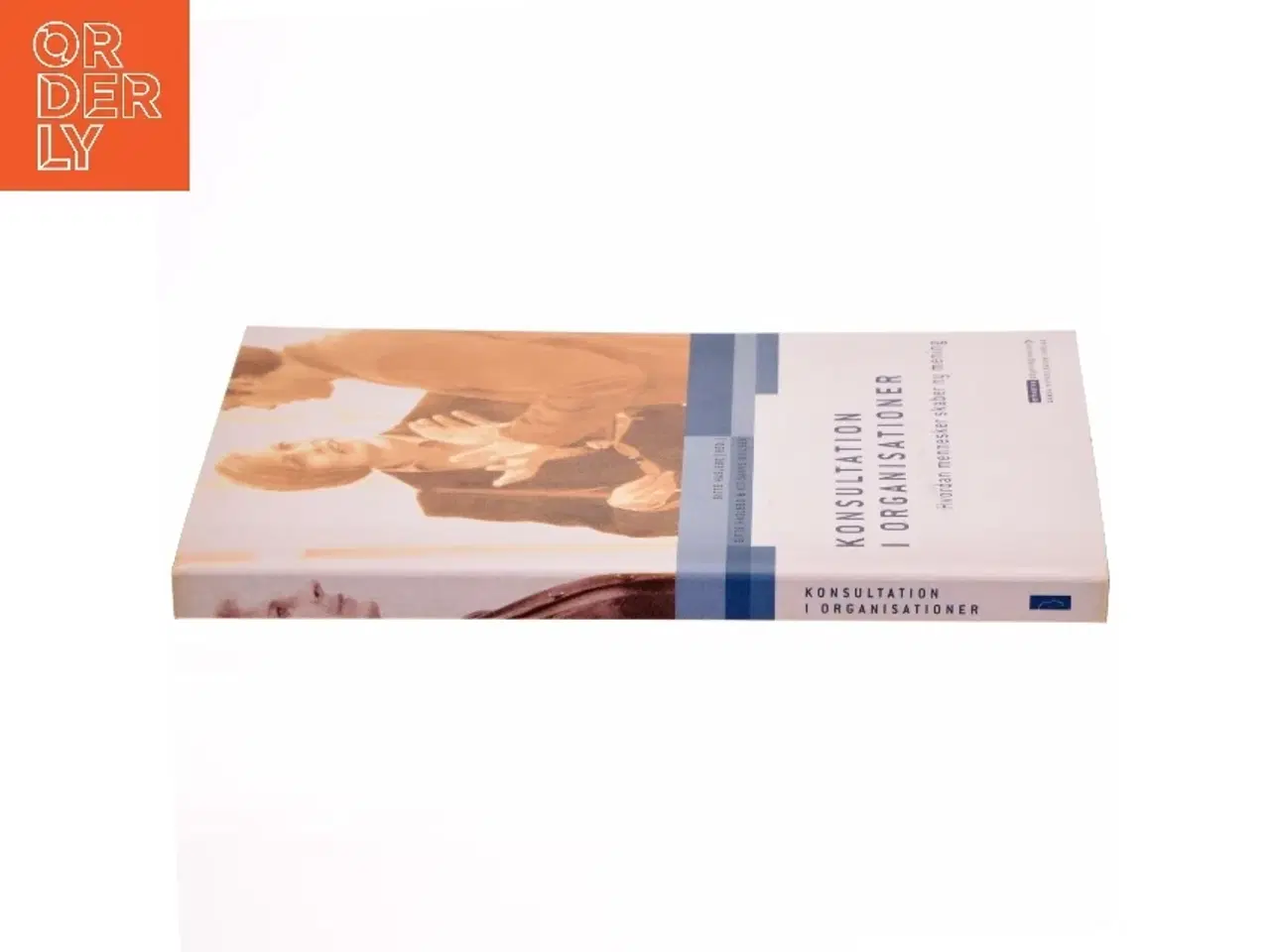 Billede 2 - Konsultation i organisationer : hvordan mennesker skaber ny mening (Bog)
