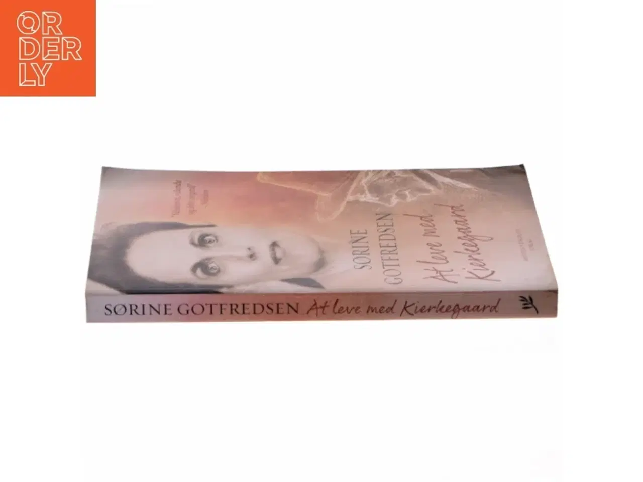 Billede 4 - At leve med Kierkegaard af Sørine Gotfredsen (Bog)