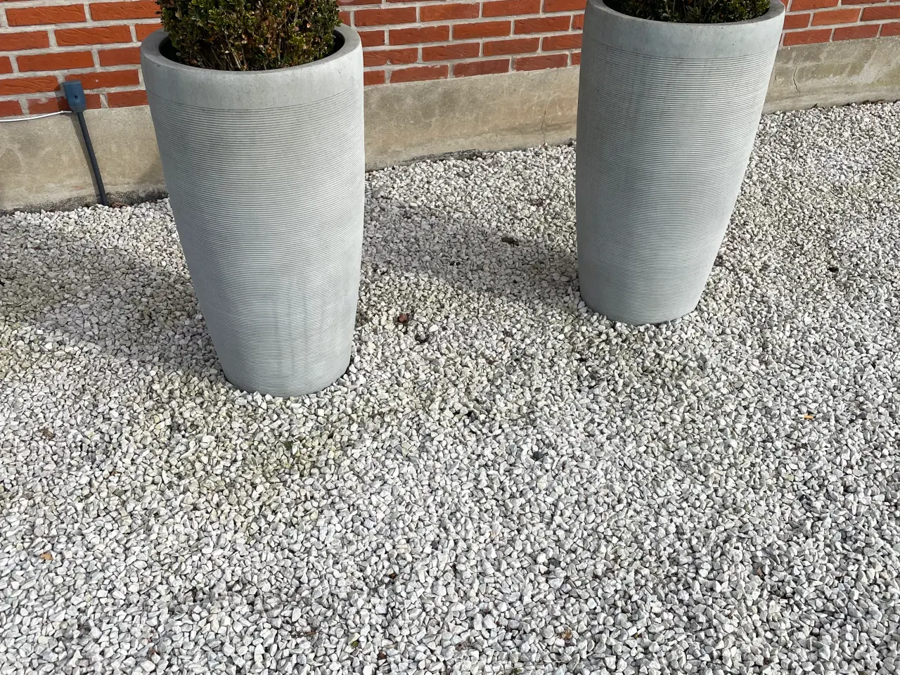 Billede 1 - Flotte krukker med buksbom