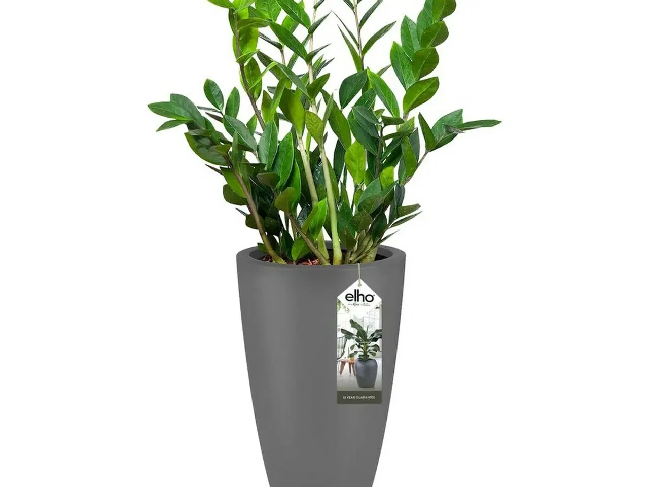 Billede 2 - Elho Pure Soft Round Plantekrukke 90 cm Antracit