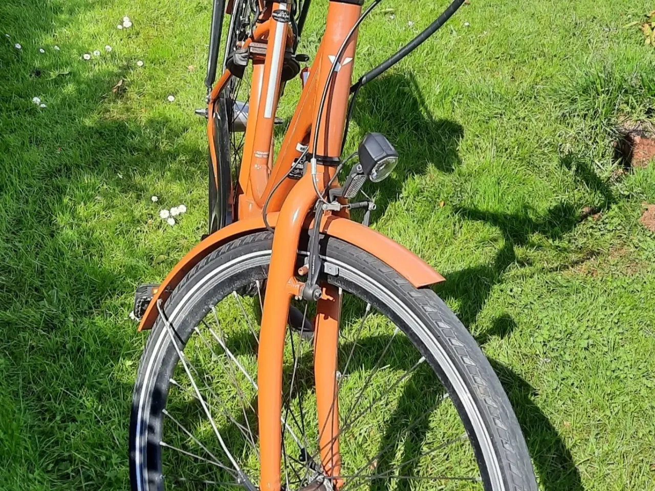 Billede 2 - El cykel - E FLY Nova Max 