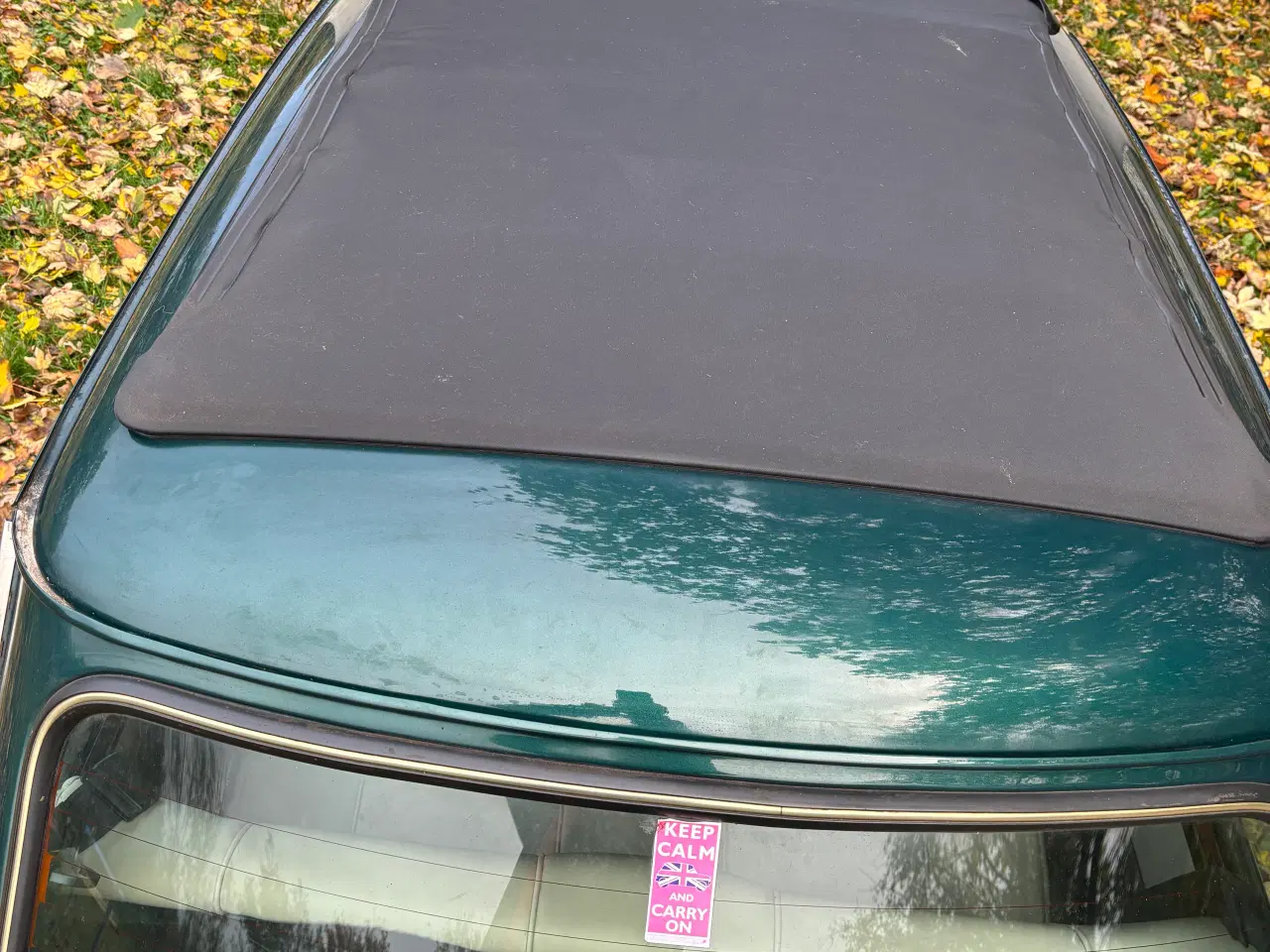 Billede 5 - Morris Mascot