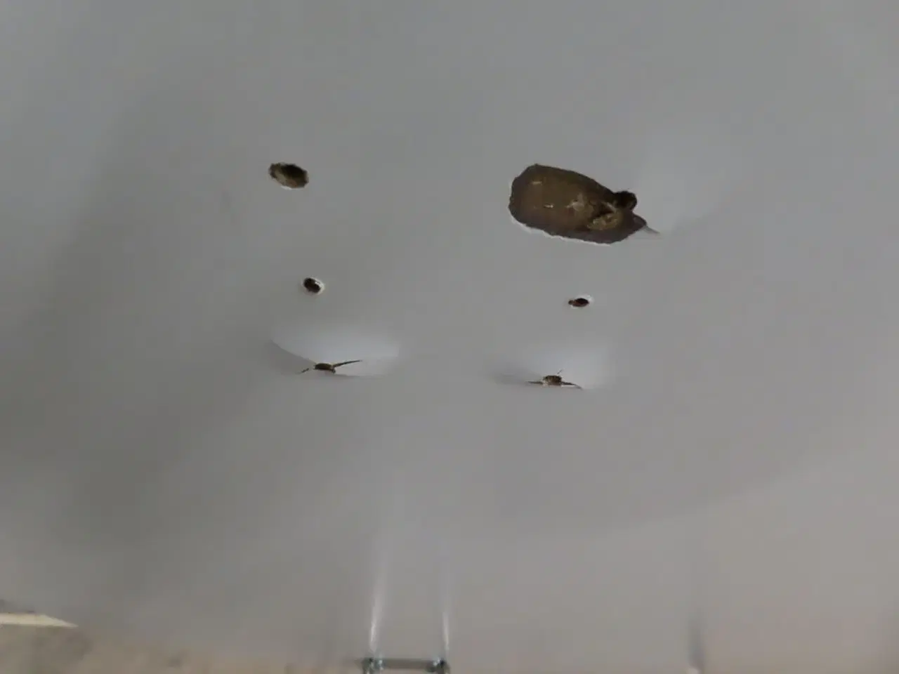 Billede 5 - Spisebord Superelipse PIET HEIN