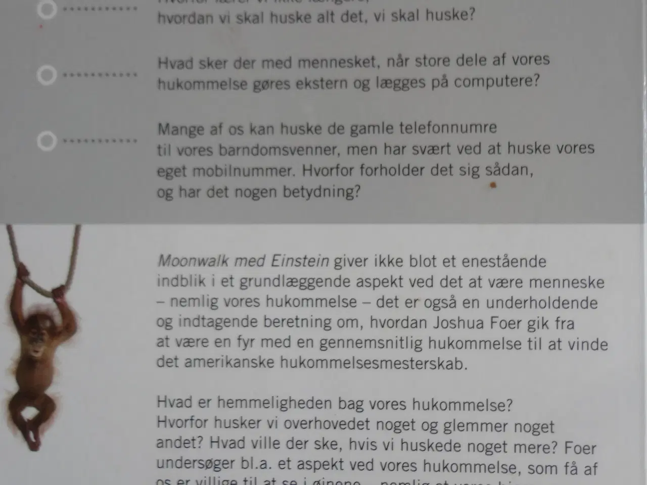 Billede 4 - Moonwalk med Einstein  :