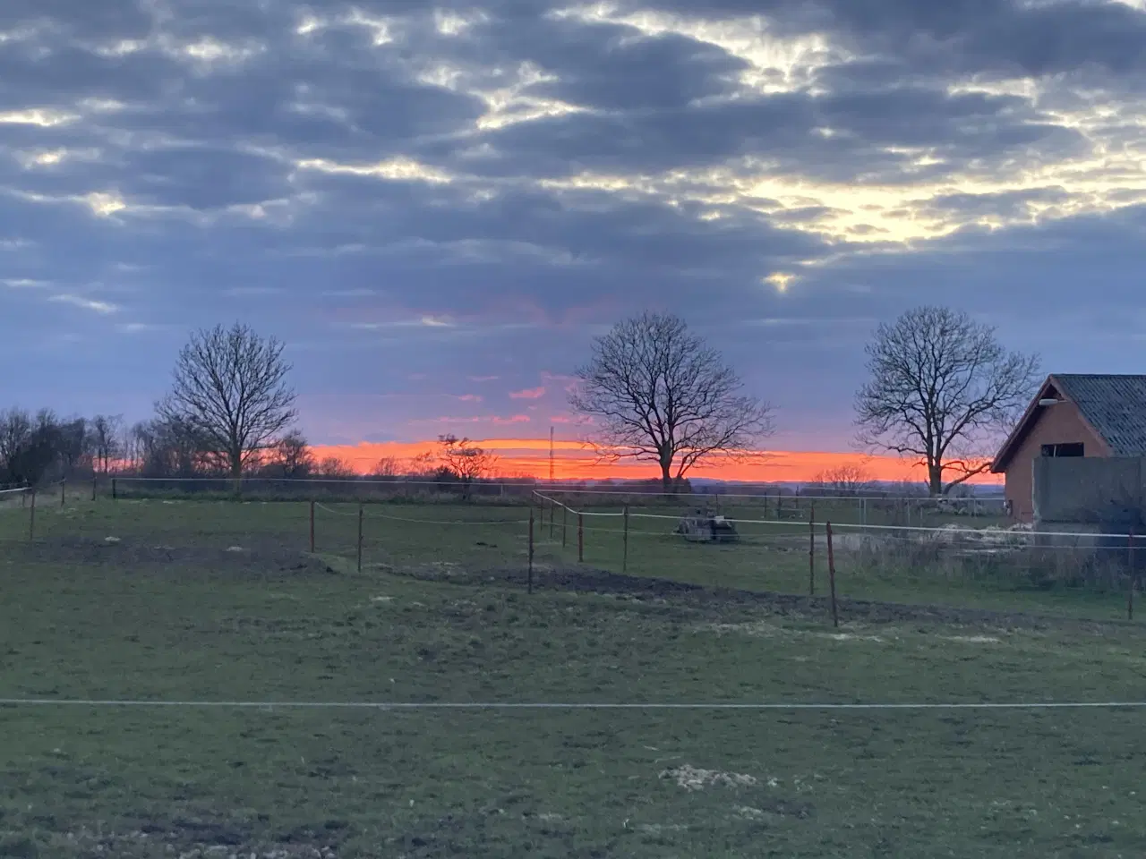 Billede 8 - Opstaldning tilbydes.Rolige og ordentlige forhold