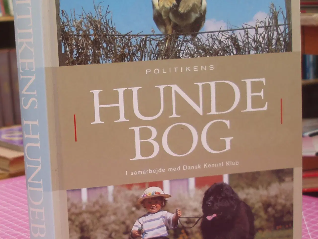 Billede 1 - Politikens Hundebog i samarbejde med DKK