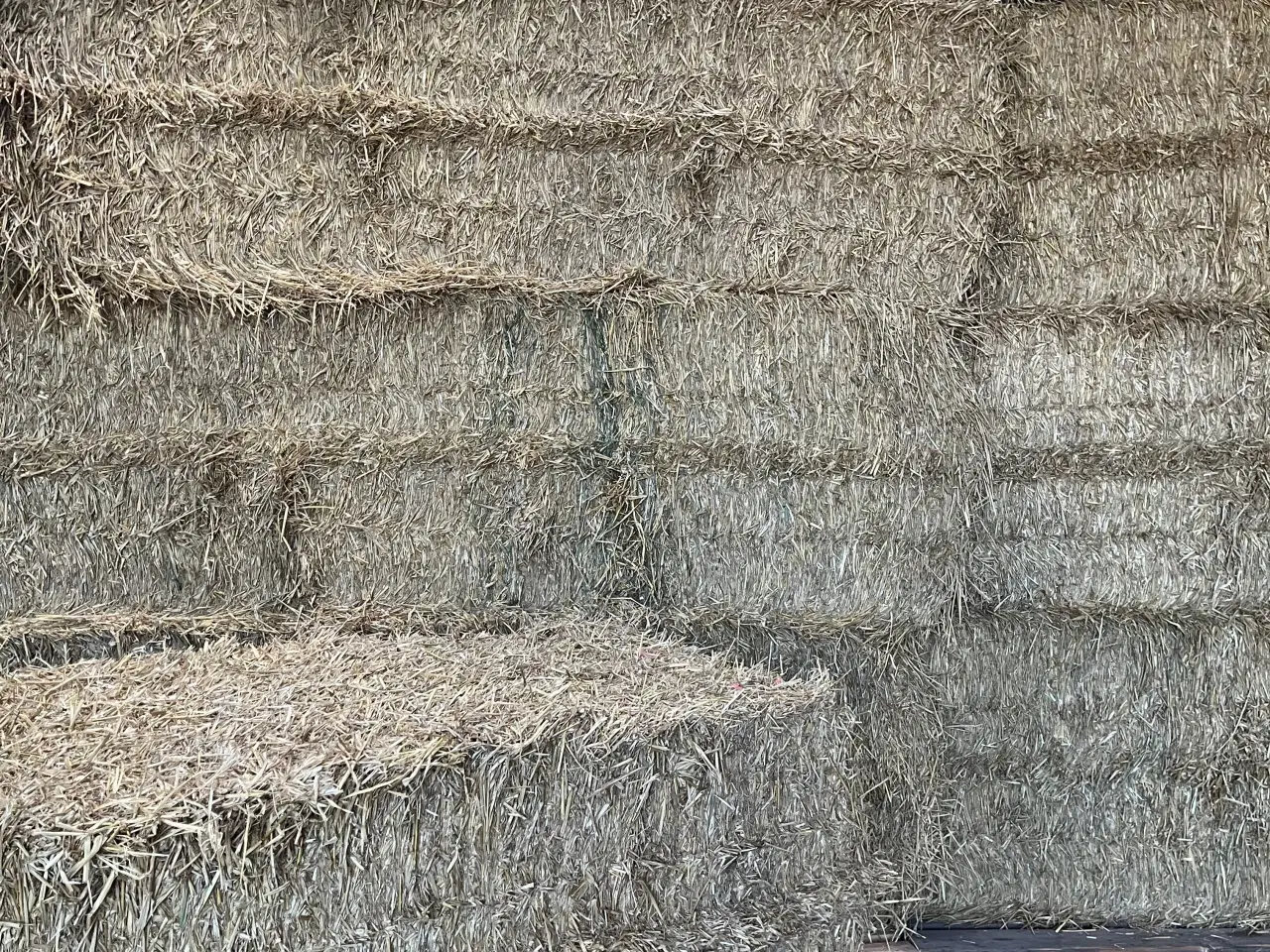 Billede 1 - Vårbyghalm i minibig