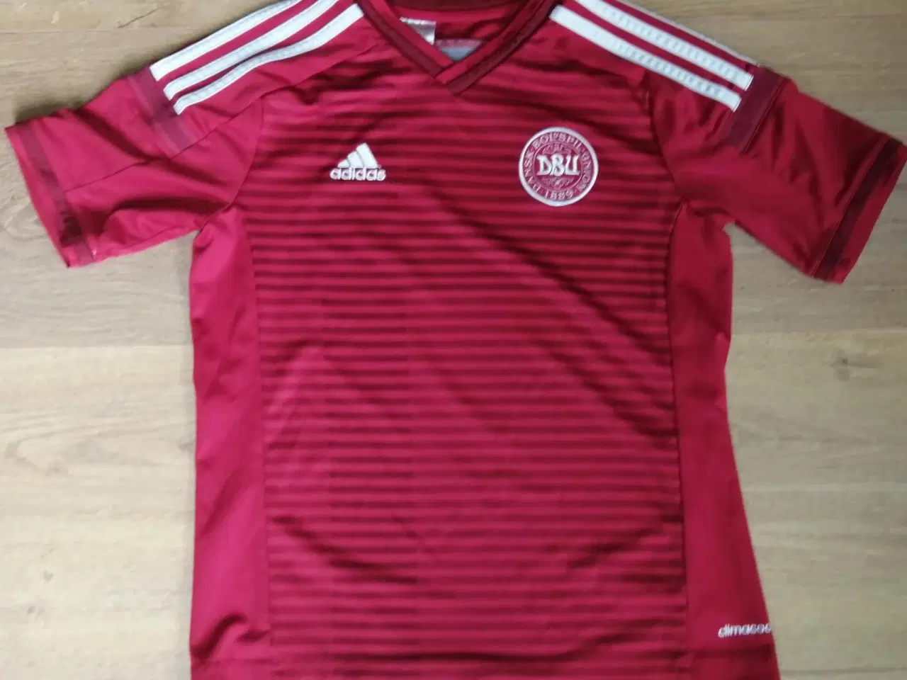 Billede 2 - DANMARK HOME 2014-15, STR. 11/12 ÅR, I FLOT STAND