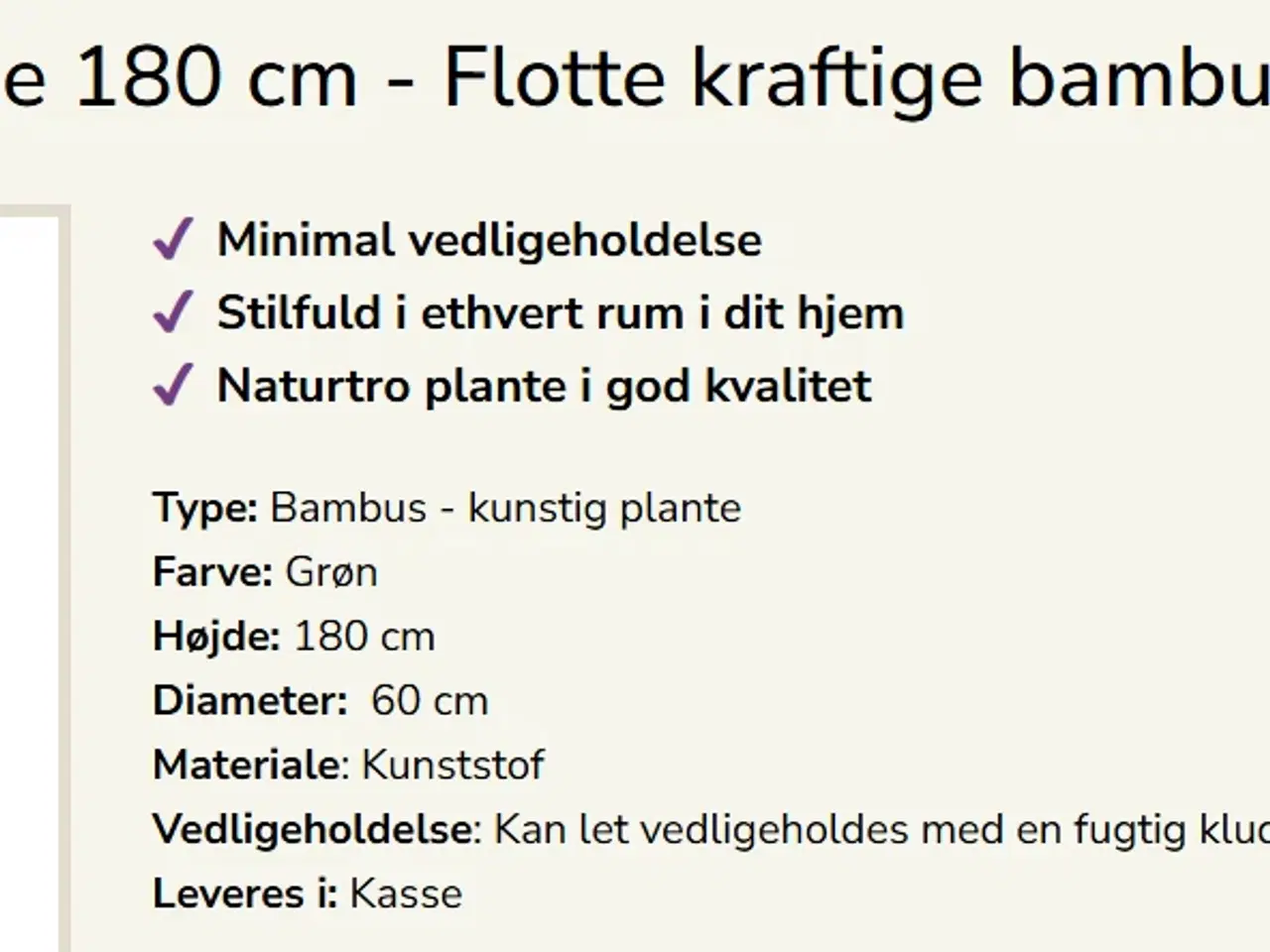 Billede 3 - Bambus plante