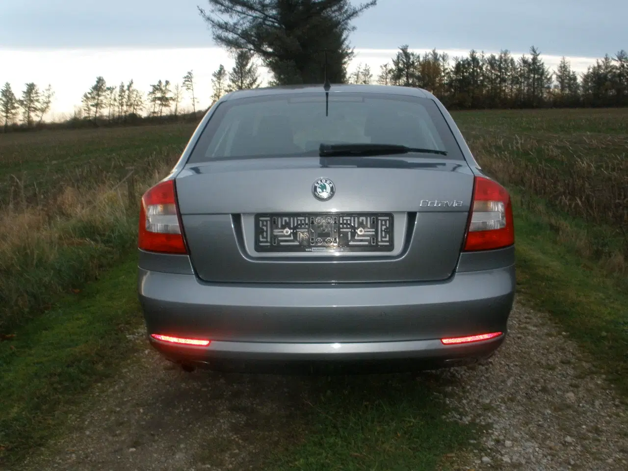Billede 7 - Skoda Octavia 1,2I 5 dørs