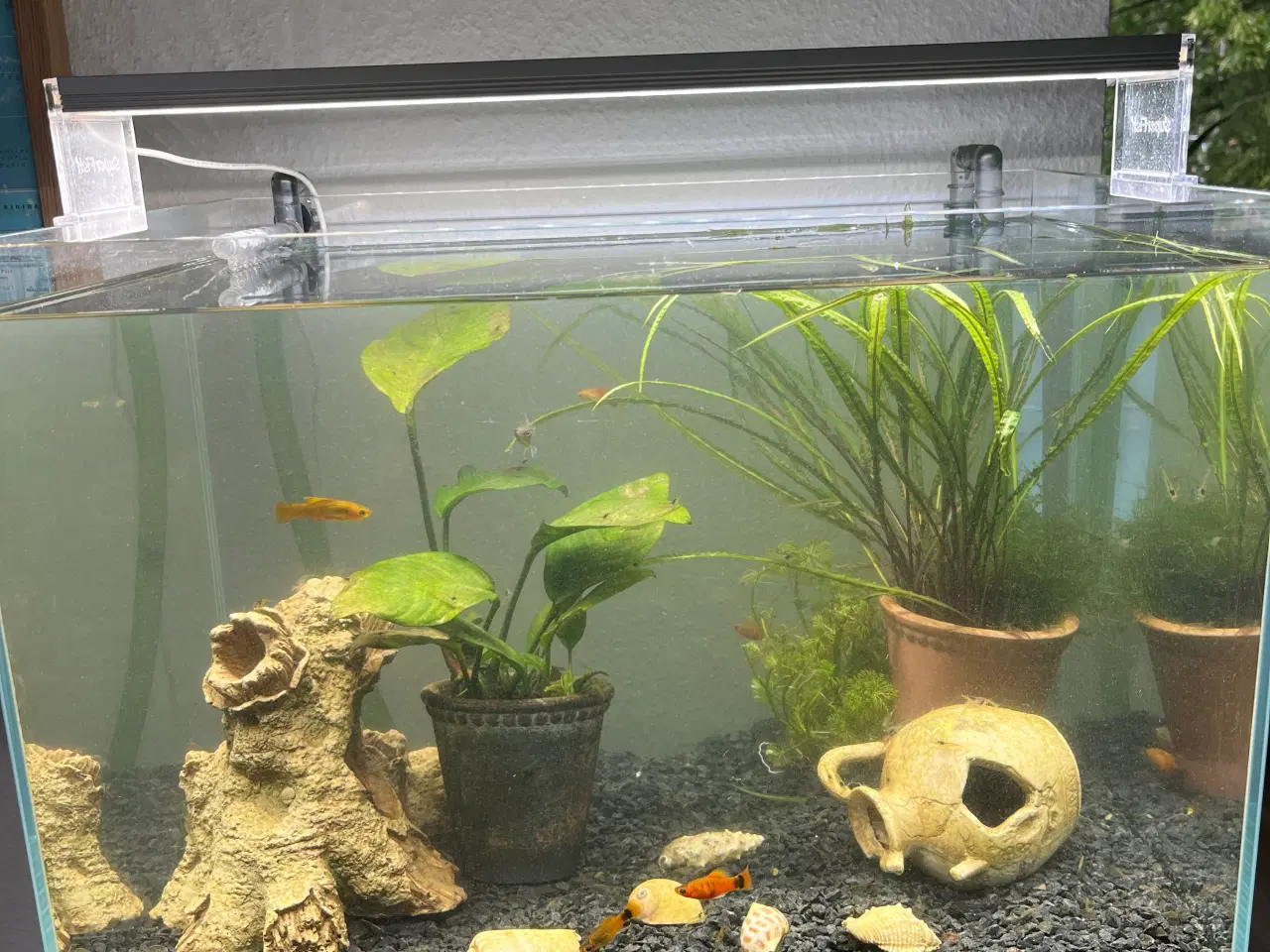 Billede 3 - 60L akvarium med møbel + pumpe 