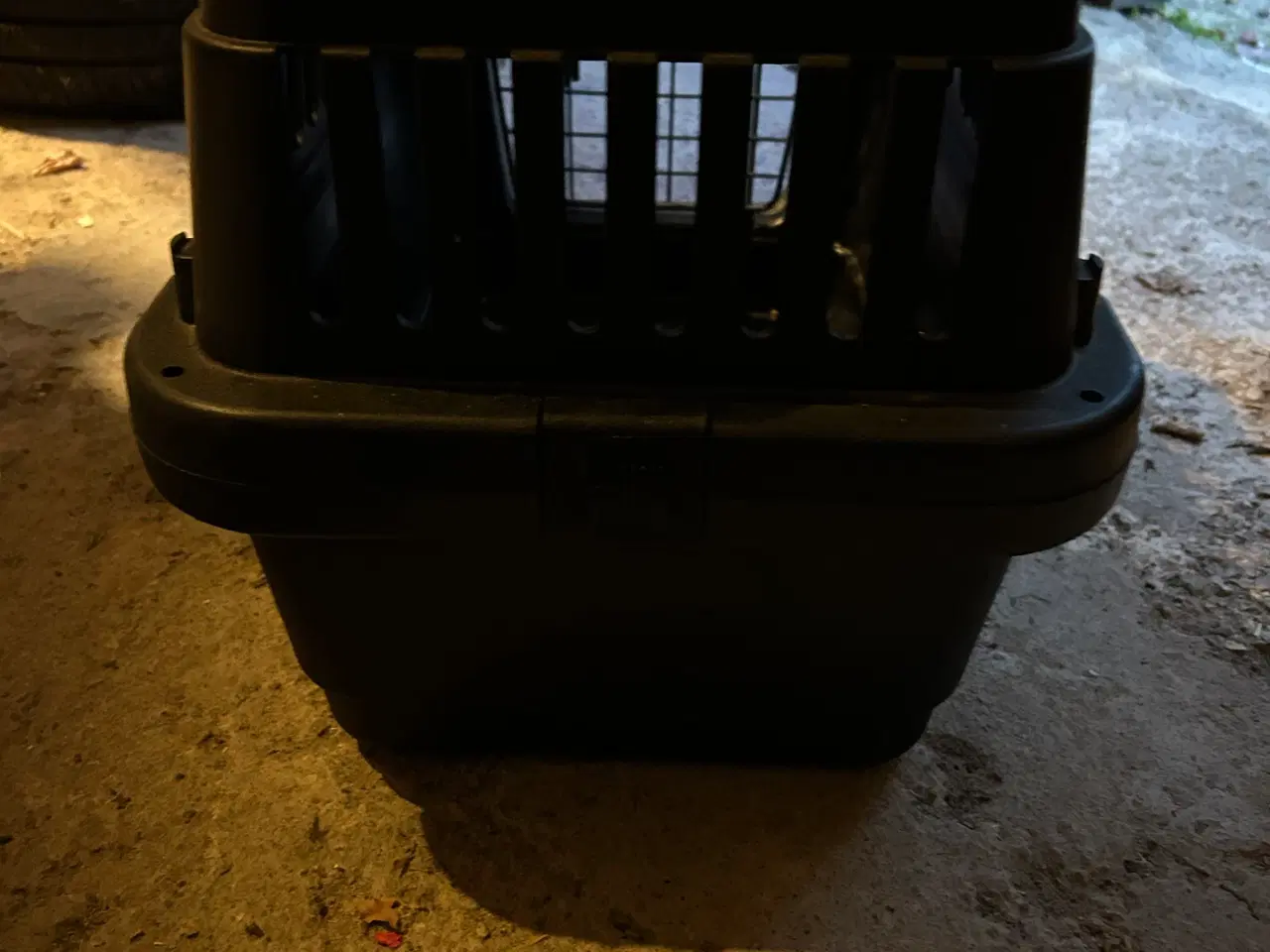 Billede 3 - Kattetransport