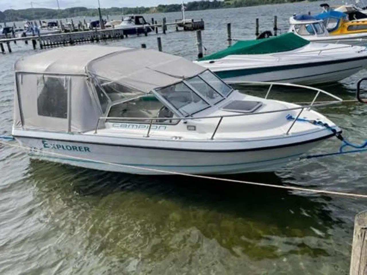 Billede 2 - campion 185 med 115 hk yamaha 4 takter