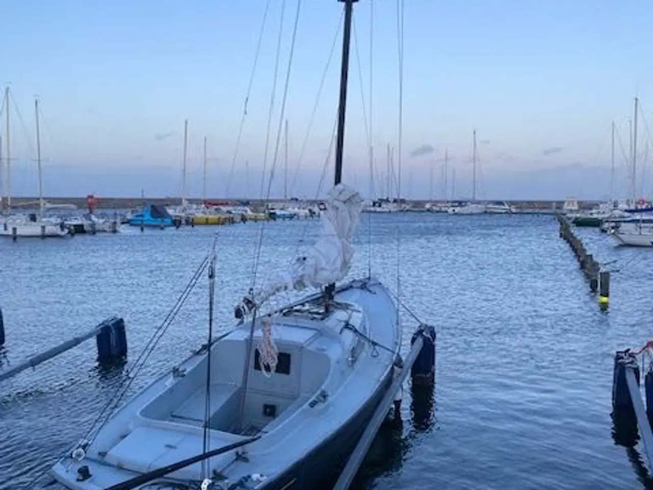 Billede 1 - Båd - GREAT DANE 28ft - Klaus Baess