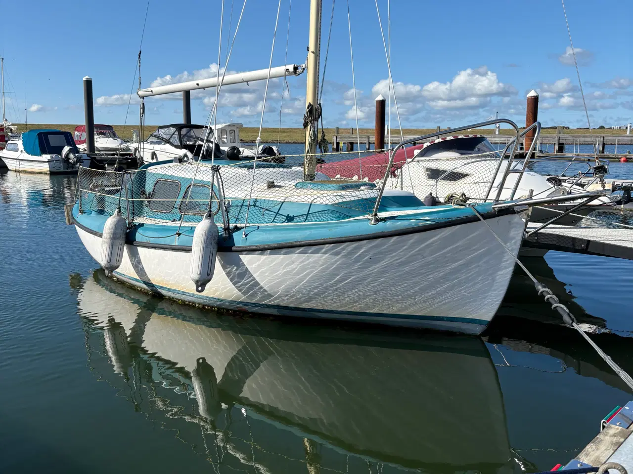 Billede 2 - Berømthed Sælges
