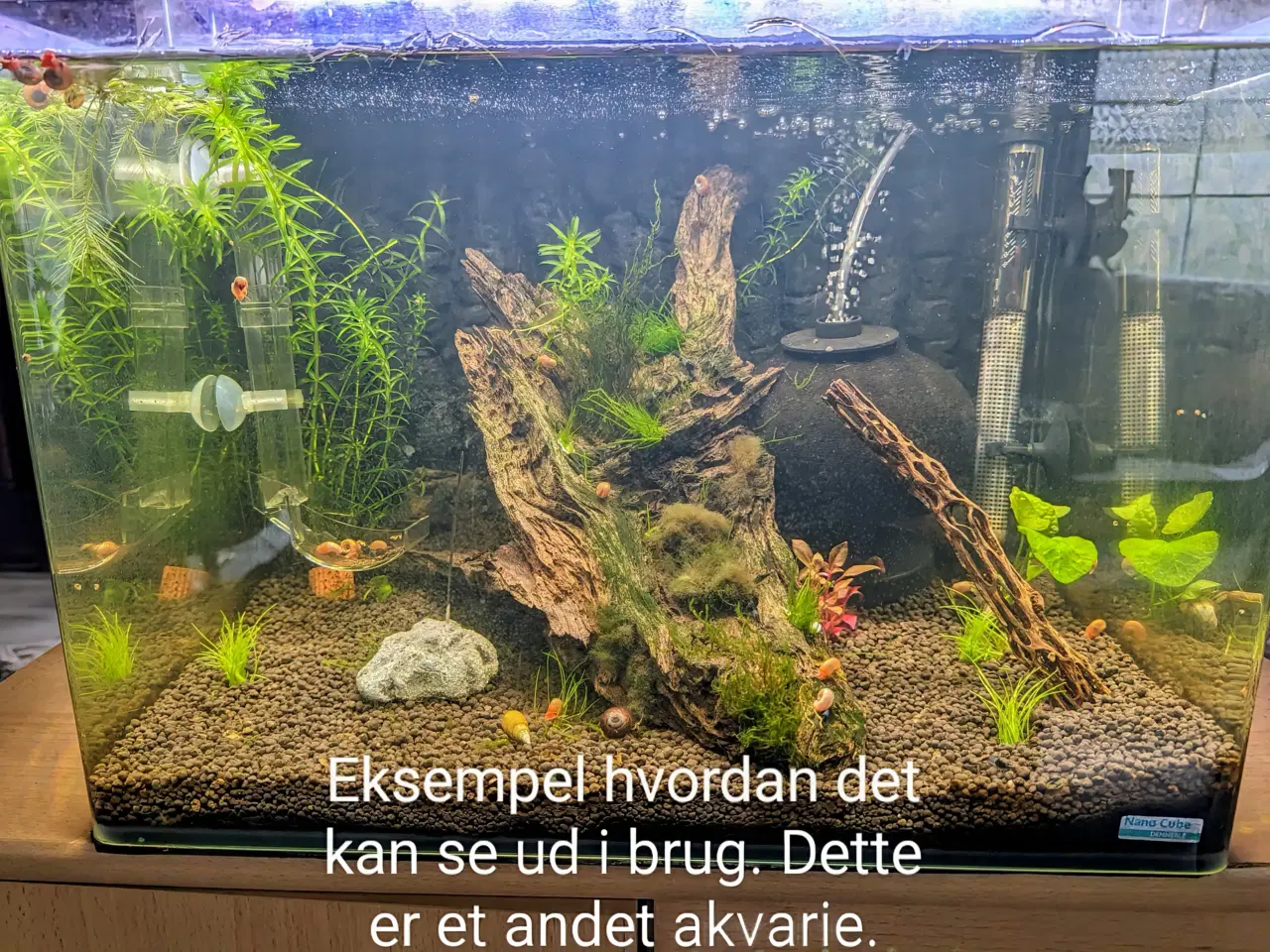 Billede 2 - Akvarium, 50 liter