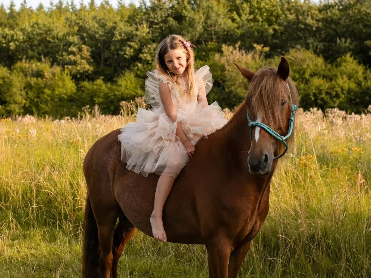 Billede 3 - Børnepony søger nyt hjem☺️