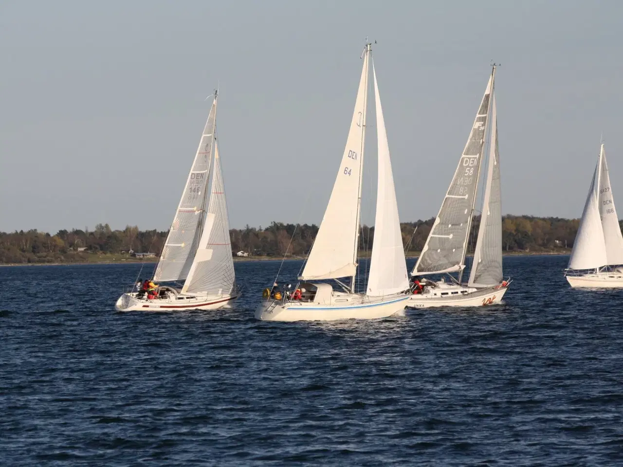 Billede 5 - Cenit 33  -  SOLGT/SOLD