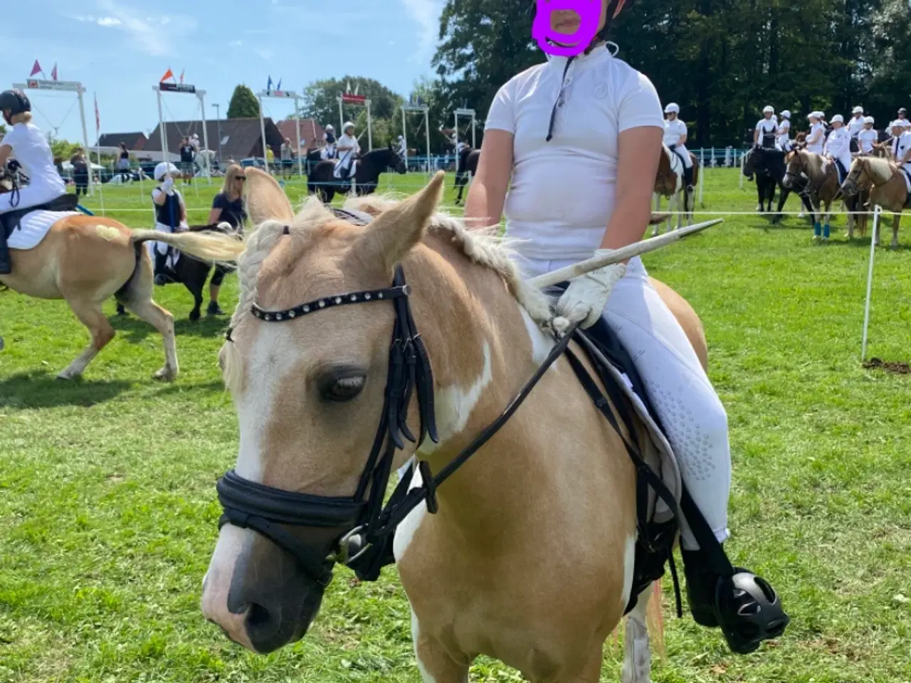 Billede 3 - Smukke Sigga