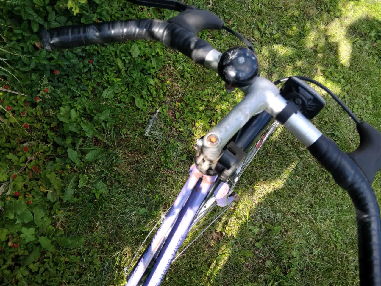 Billede 4 - Centurion mixte 