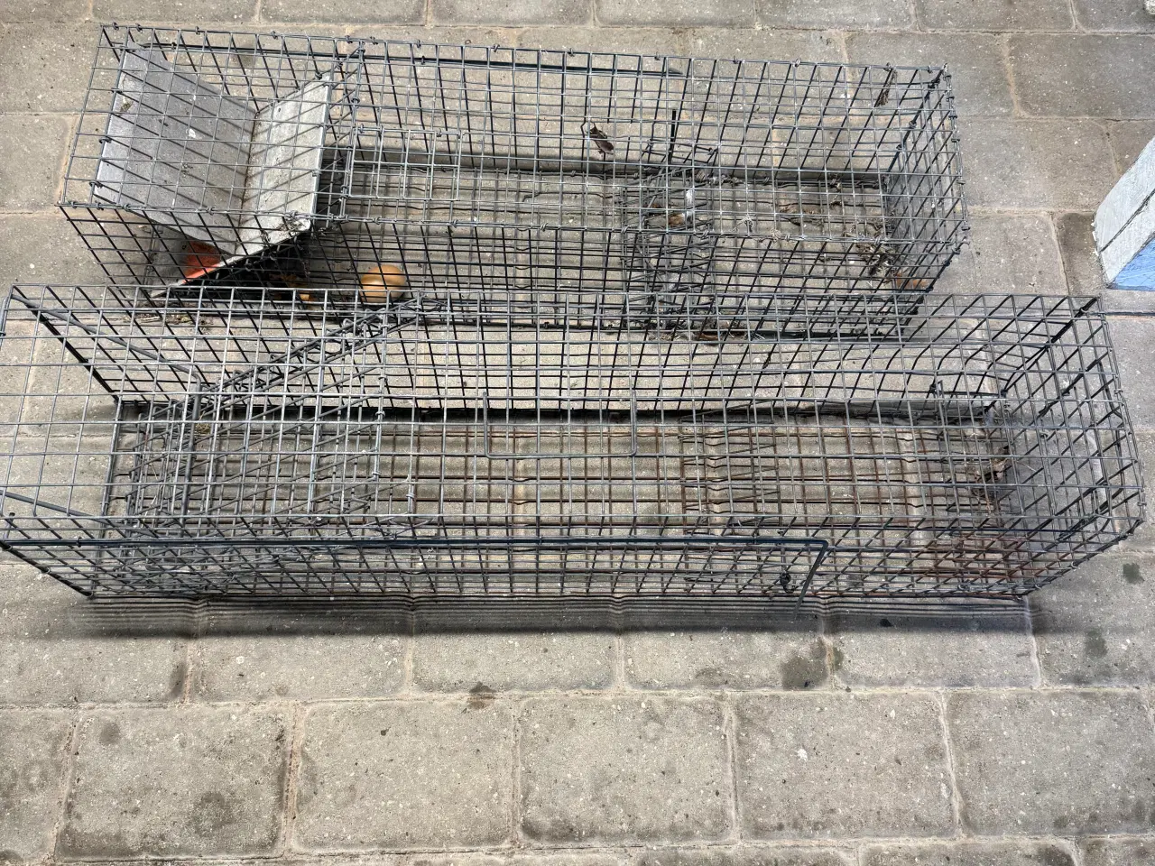 Billede 1 - Mår fælder