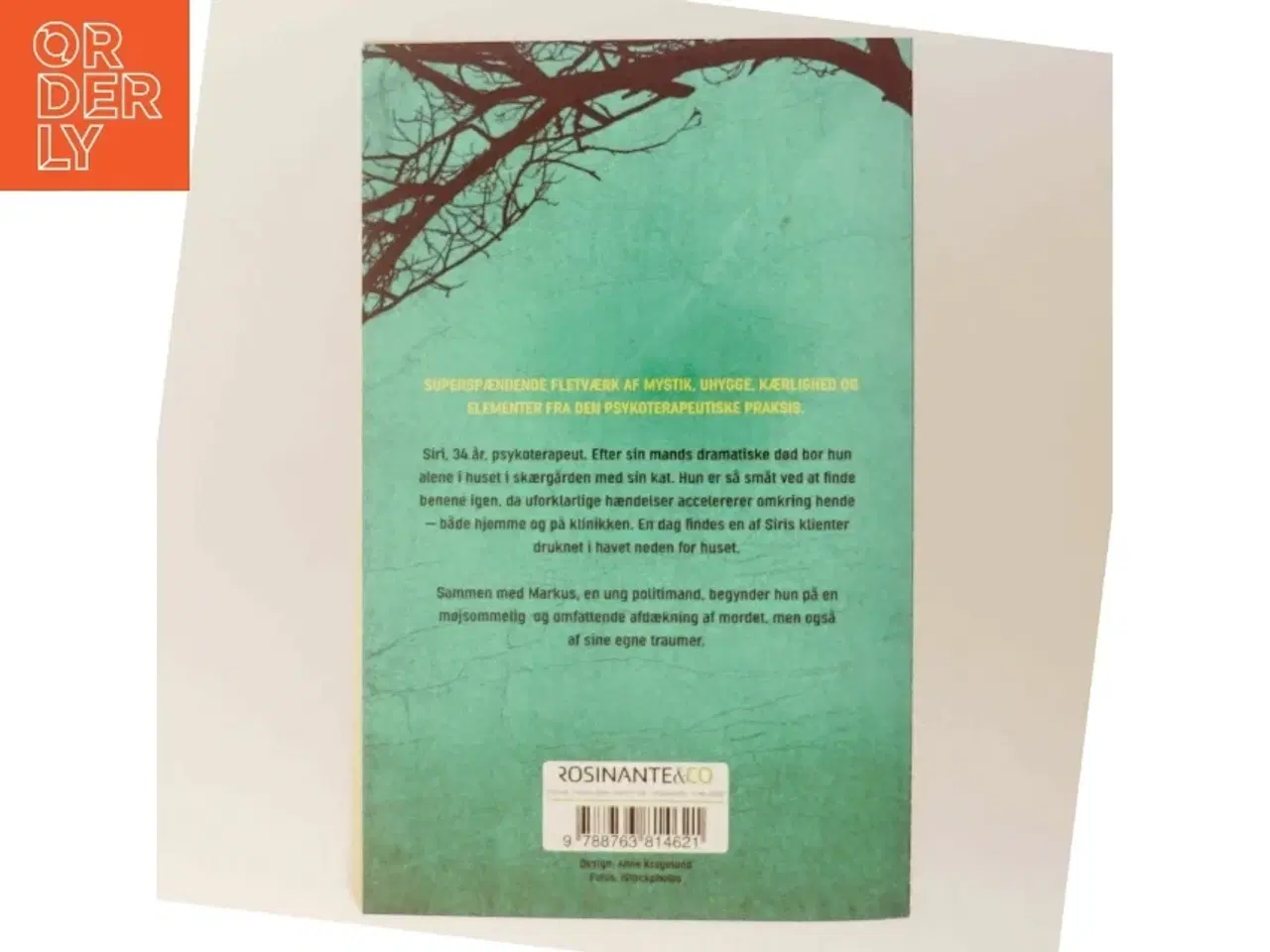 Billede 3 - Jeg ser dig af Camilla Grebe (Bog)