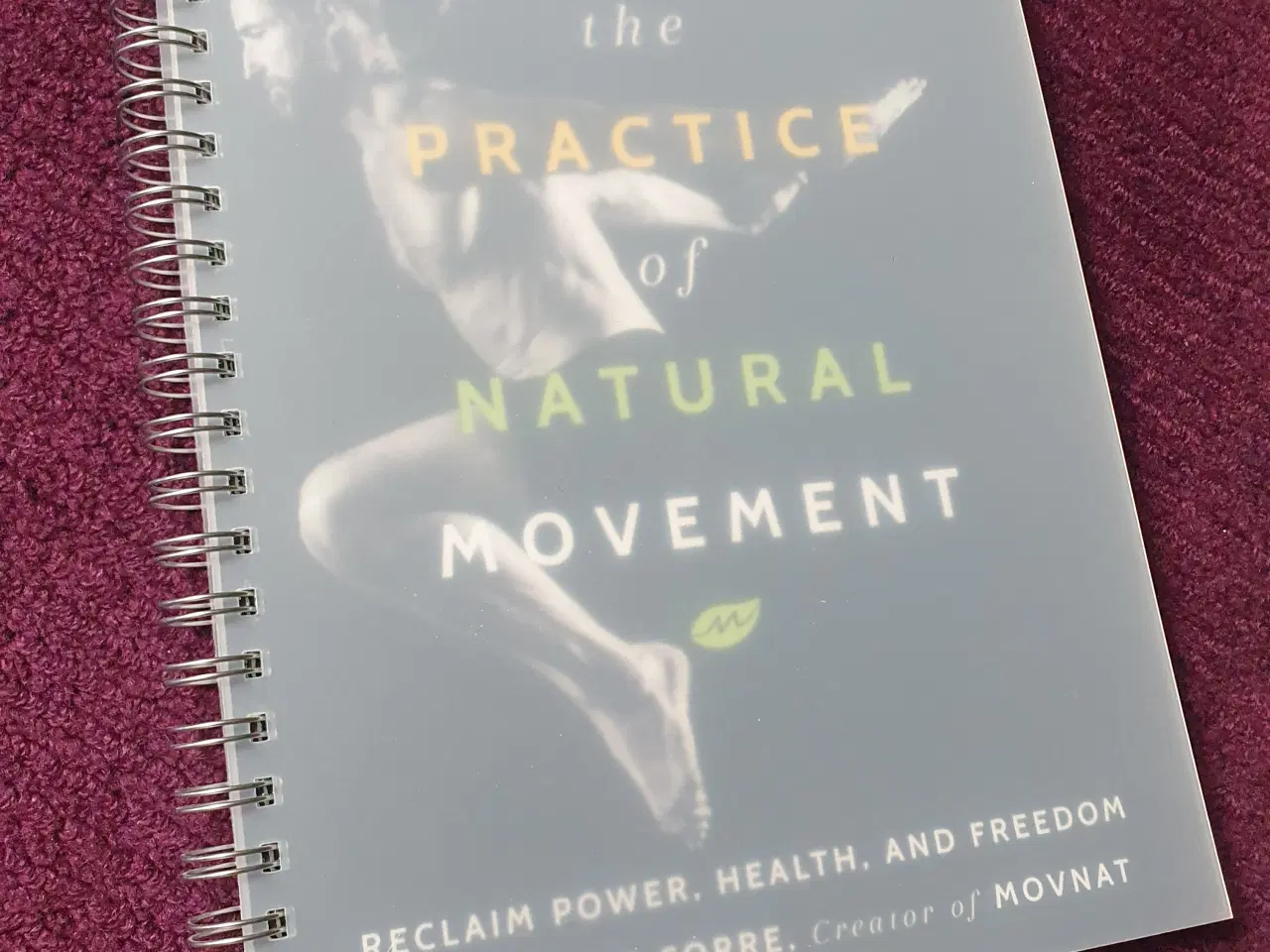 Billede 8 - The Practice of Natural Movement af Erwan Le Corre