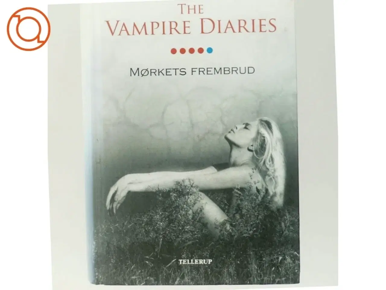 Billede 6 - The vampire diaries. #5, Mørkets frembrud af L. J. Smith (Bog)