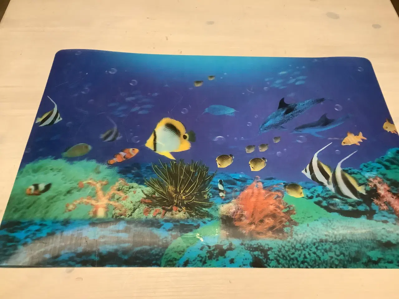 Billede 2 - 2 stk dækkeservietter med katte og fisk