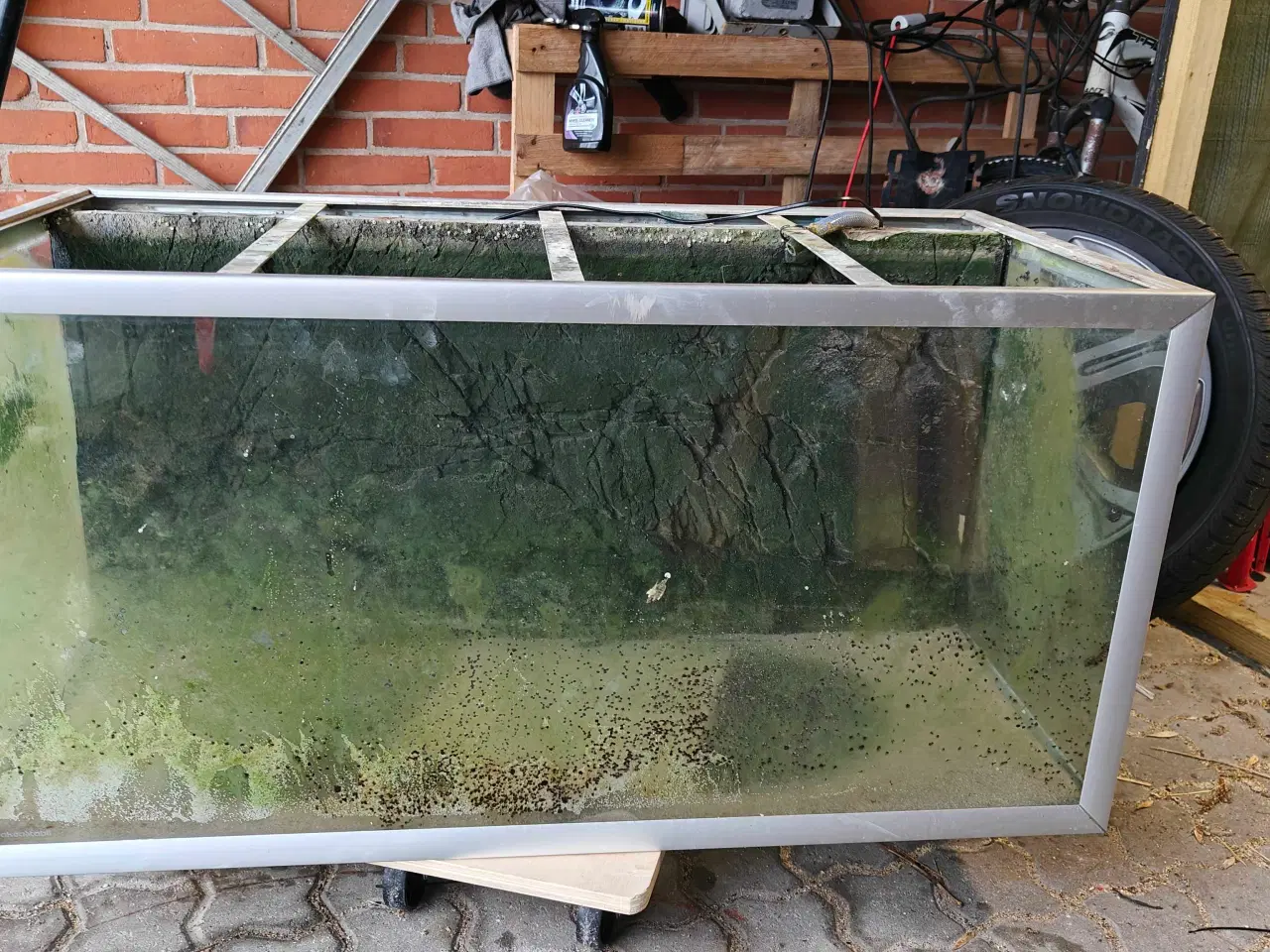 Billede 3 - Akvariereol med 2 stk. 250 L akvarier