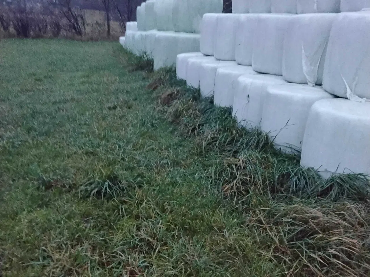 Billede 9 - Wrapballer & Hø sælges