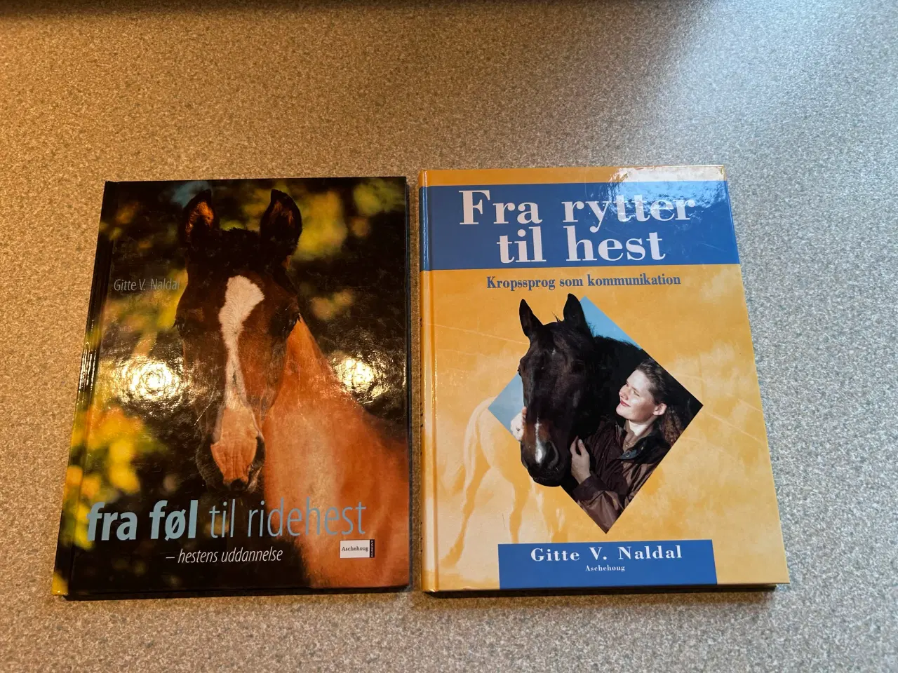 Billede 1 - 2 hestebøger af Gitte V Naldal