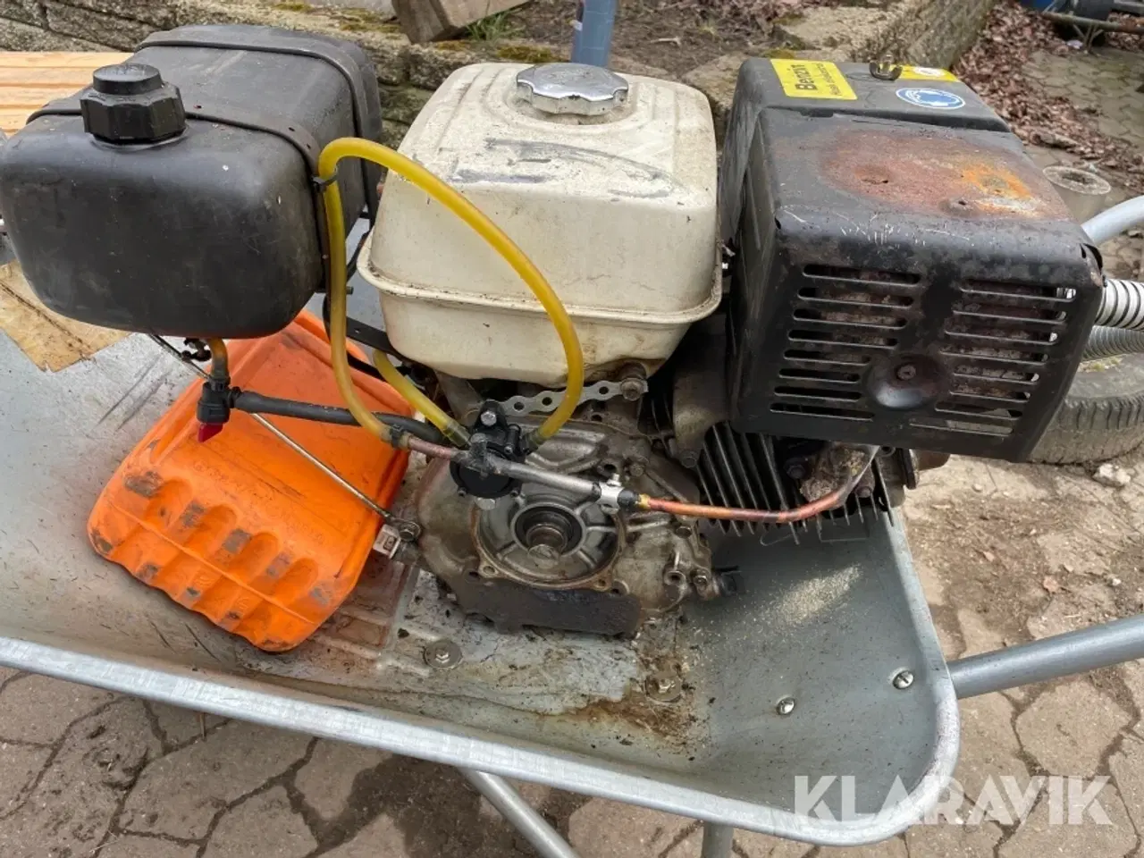 Billede 8 - Muldvarpe gasser