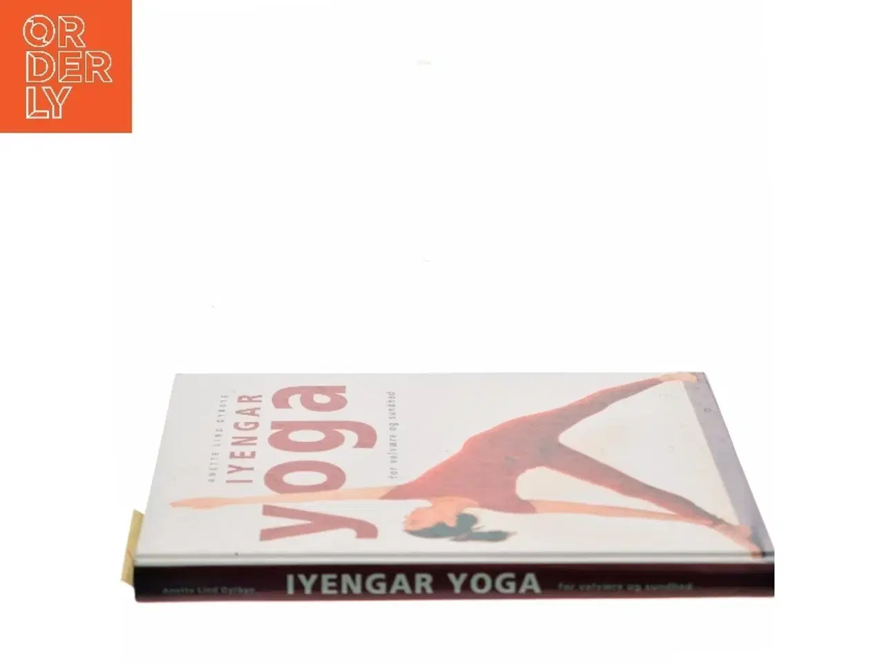 Billede 2 - Iyengar yoga for velvære og sundhed af Anette Lind Dyrbye (Bog)