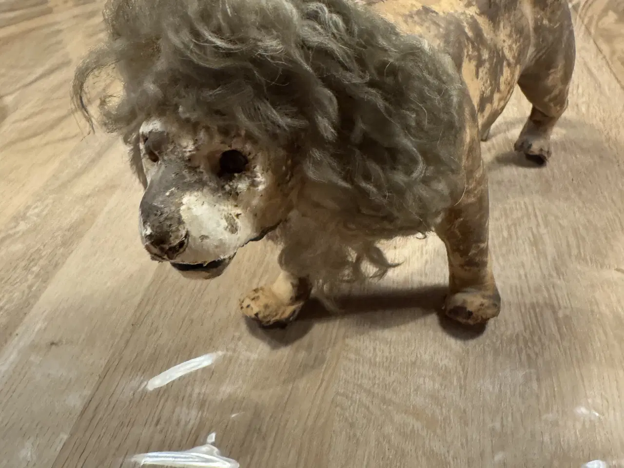 Billede 4 - Antik Hanløve