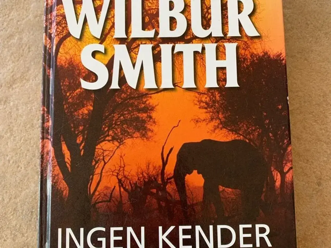 Billede 1 - Wilbur Smith bog  Ingen kender dagen