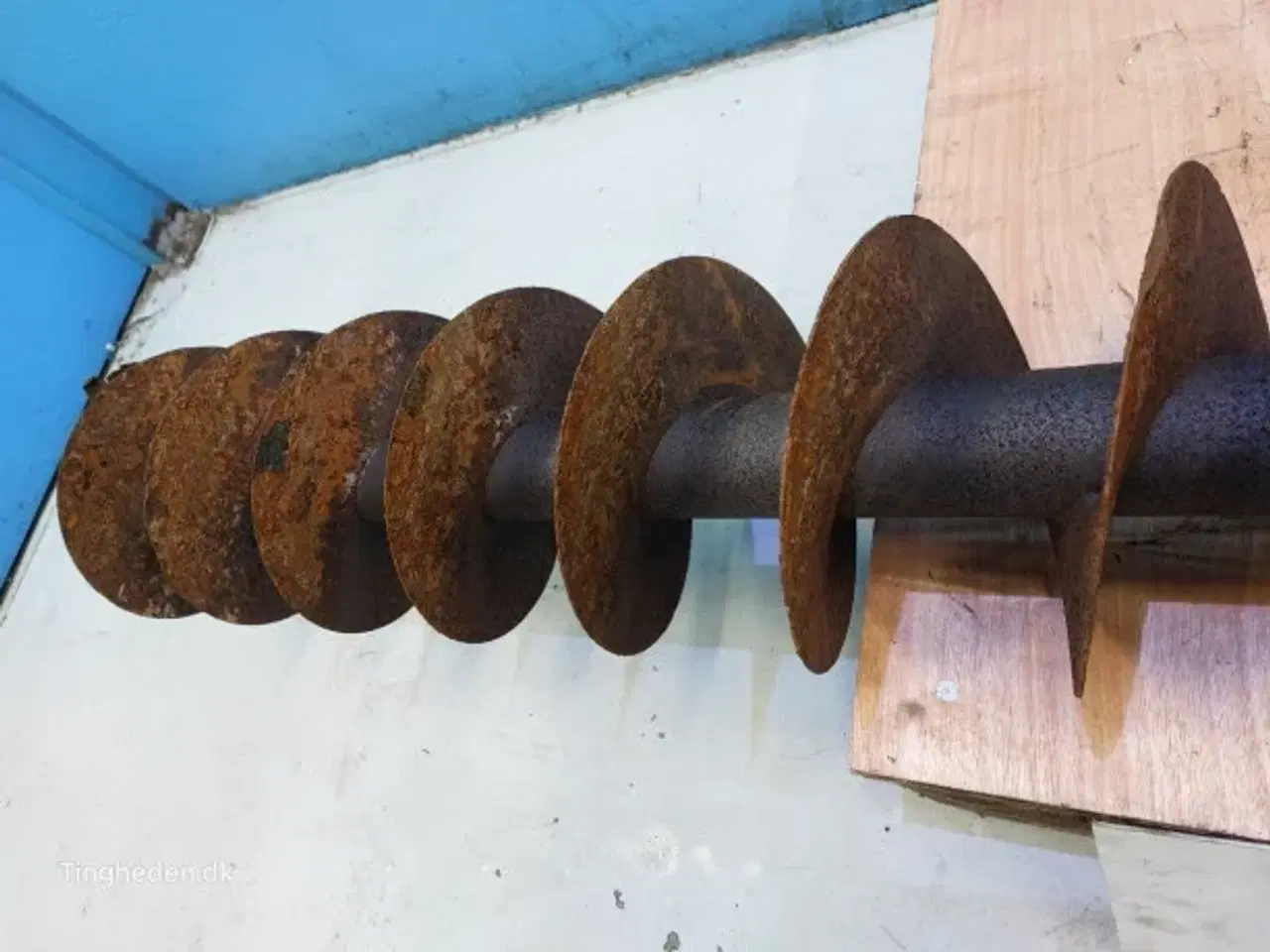 Billede 18 - Massey Ferguson 7278 Frøsnegl 28885556