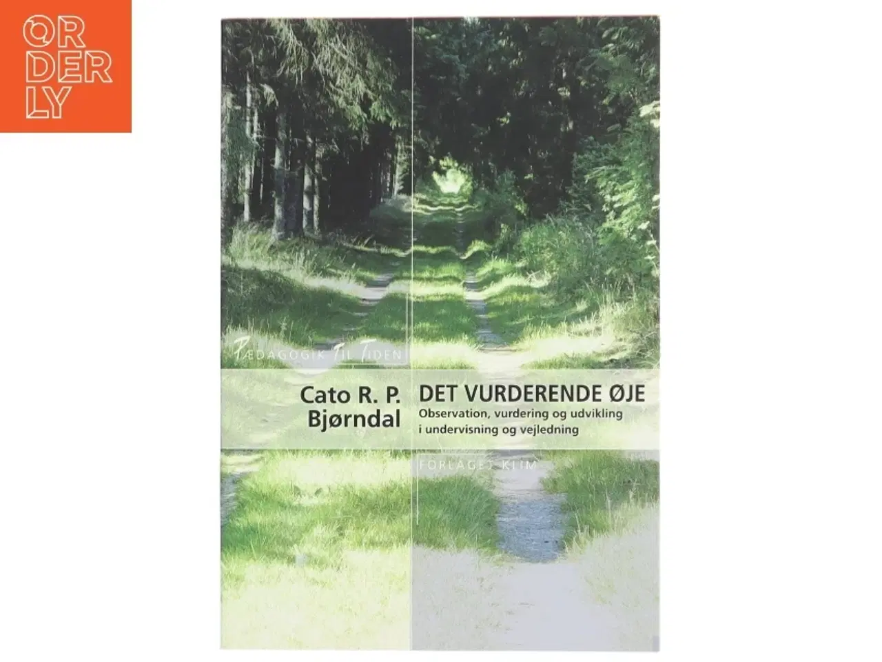 Billede 1 - &#39;DET VURDERENDE ØJE&#39; fra Forlaget Klim