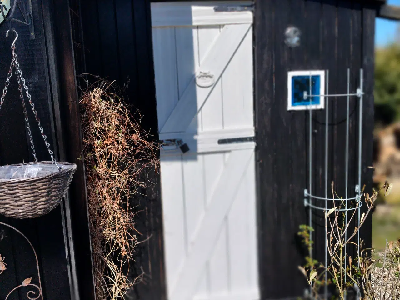 Billede 6 - Dejlig kolonihave