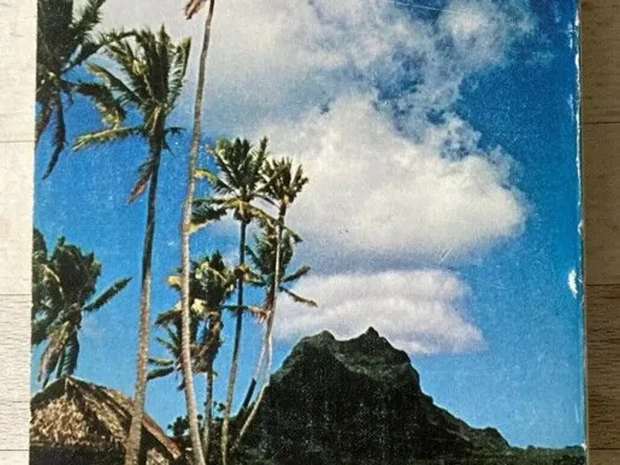 Billede 2 - Fra Tahiti fra Thyborøn med Nordkaperen