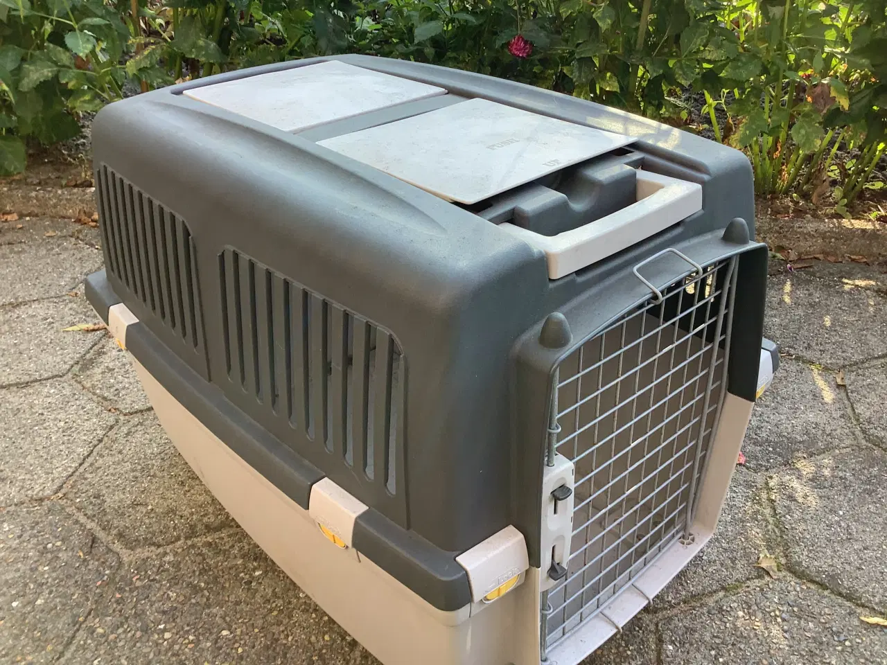 Billede 1 - Transportkasse til hund
