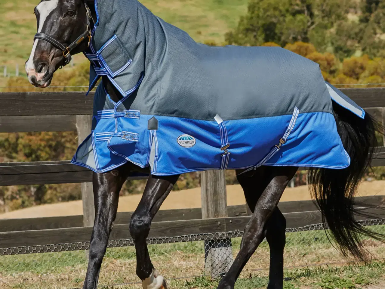 Billede 1 - Weatherbeeta med hals 350g