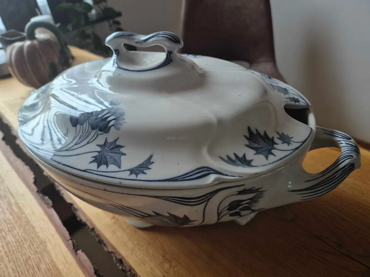 Billede 2 - Suppeterrin